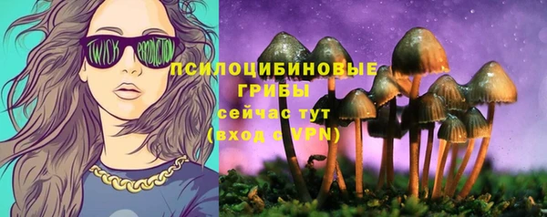 мяу мяу мука Новозыбков