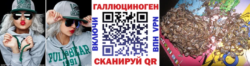 Галлюциногенные грибы MAGIC MUSHROOMS  Рязань 
